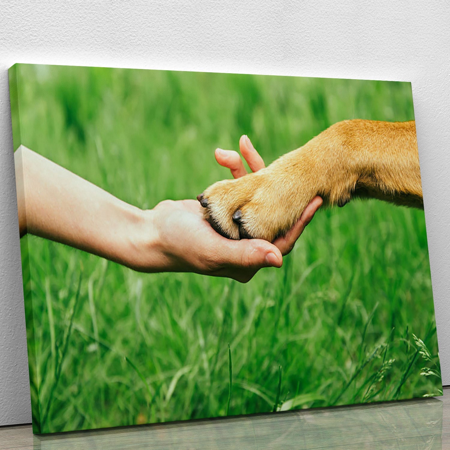 Canvas print featuring a dog paw and human hand shaking hands, symbolizing friendship and companionship.