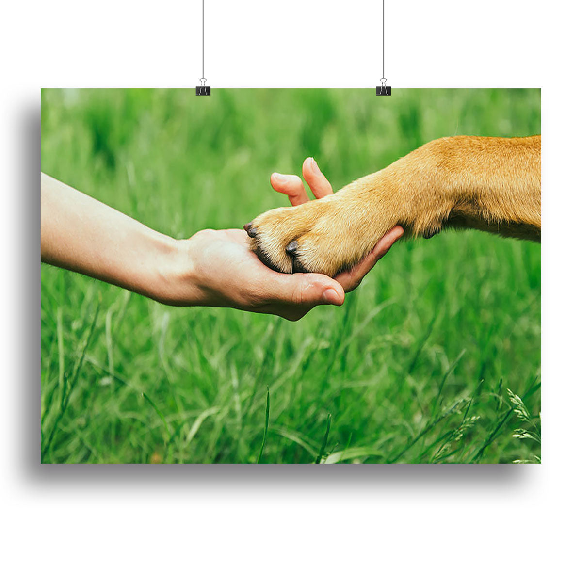 Canvas print featuring a dog paw and human hand shaking hands, symbolizing friendship and companionship.