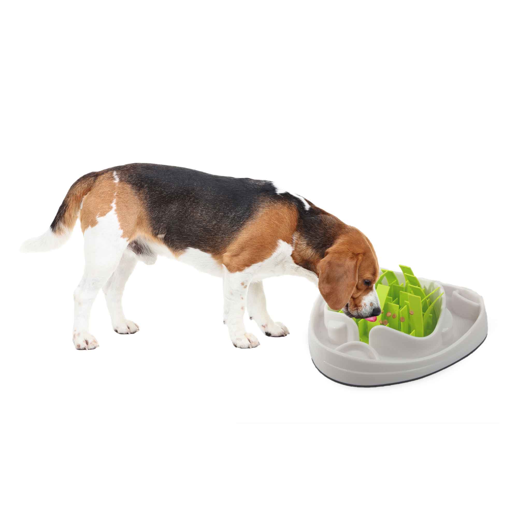 Interactive Dog Slow Feeder Bowl with maze design for healthy eating habits.