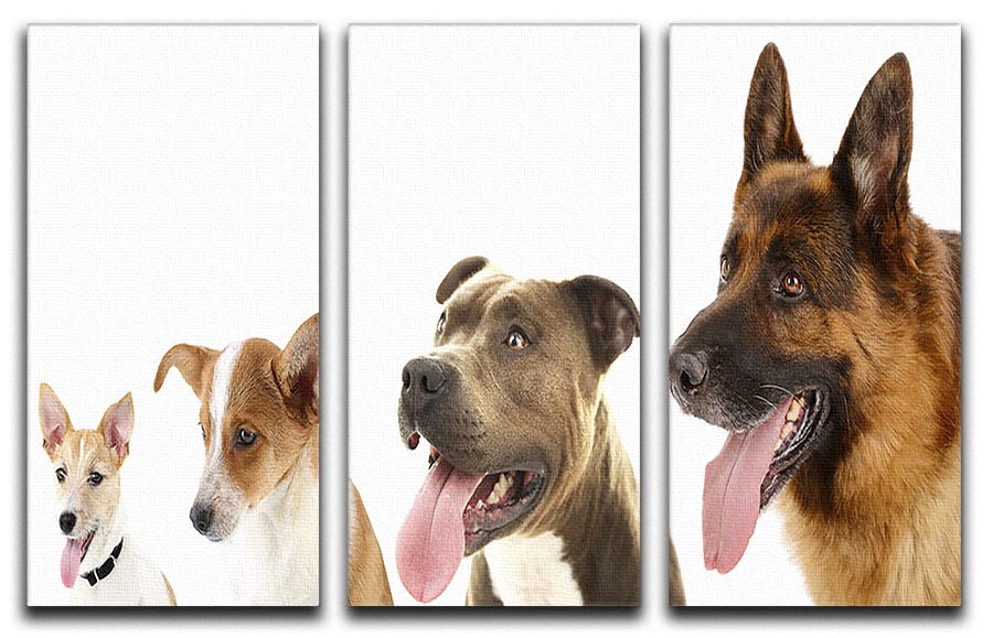 Three-panel canvas print featuring dogs in a row, showcasing vibrant colors and detailed artwork, perfect for home decor.
