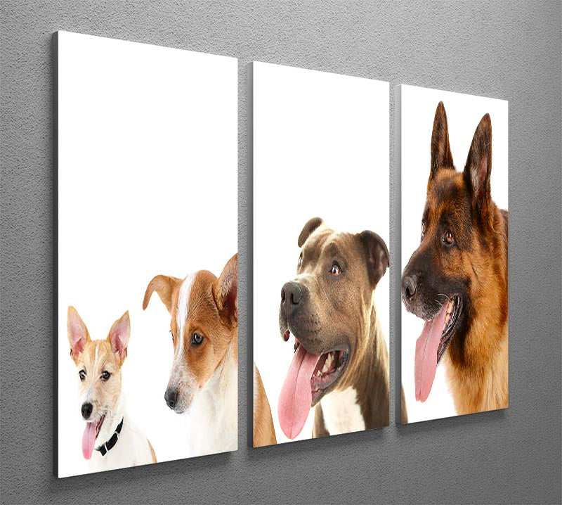 Three-panel canvas print featuring dogs in a row, showcasing vibrant colors and detailed artwork, perfect for home decor.