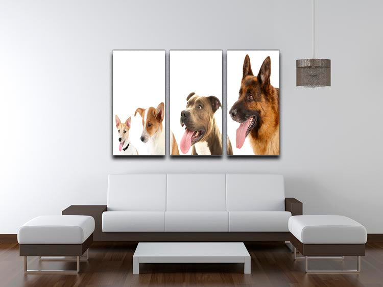 Three-panel canvas print featuring dogs in a row, showcasing vibrant colors and detailed artwork, perfect for home decor.