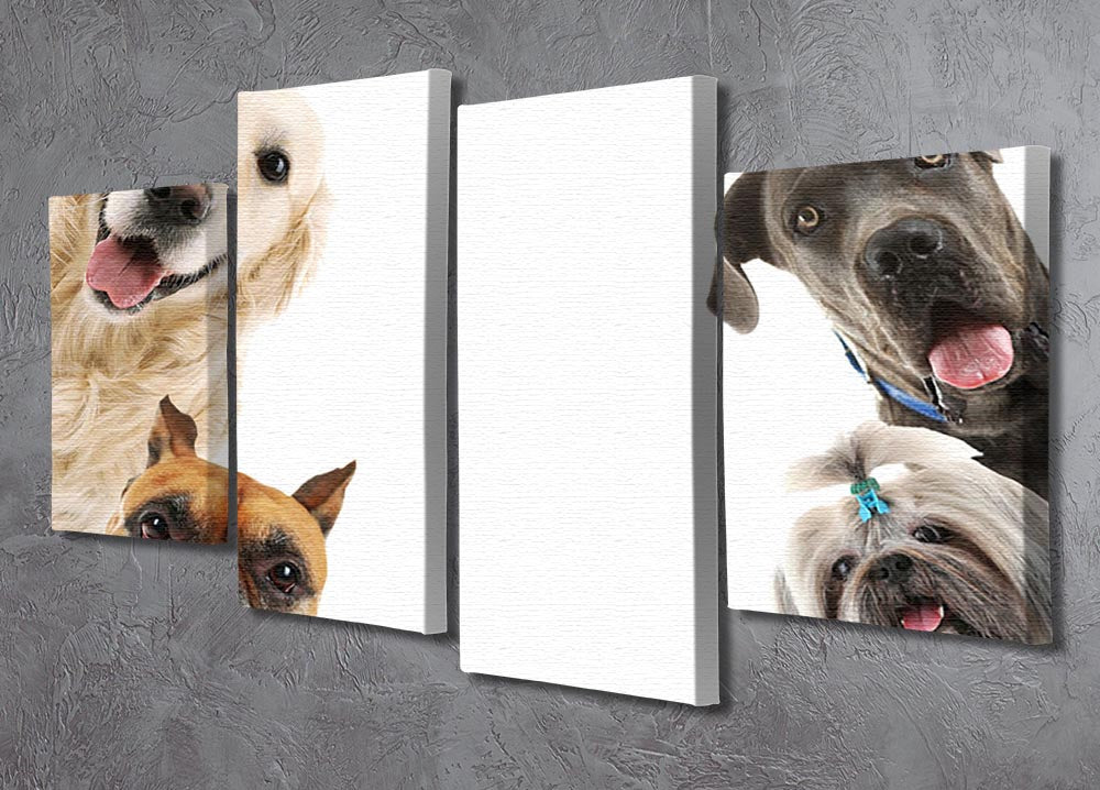 A 4-split canvas artwork featuring dogs isolated on a white background, showcasing four panels that create a cohesive image.