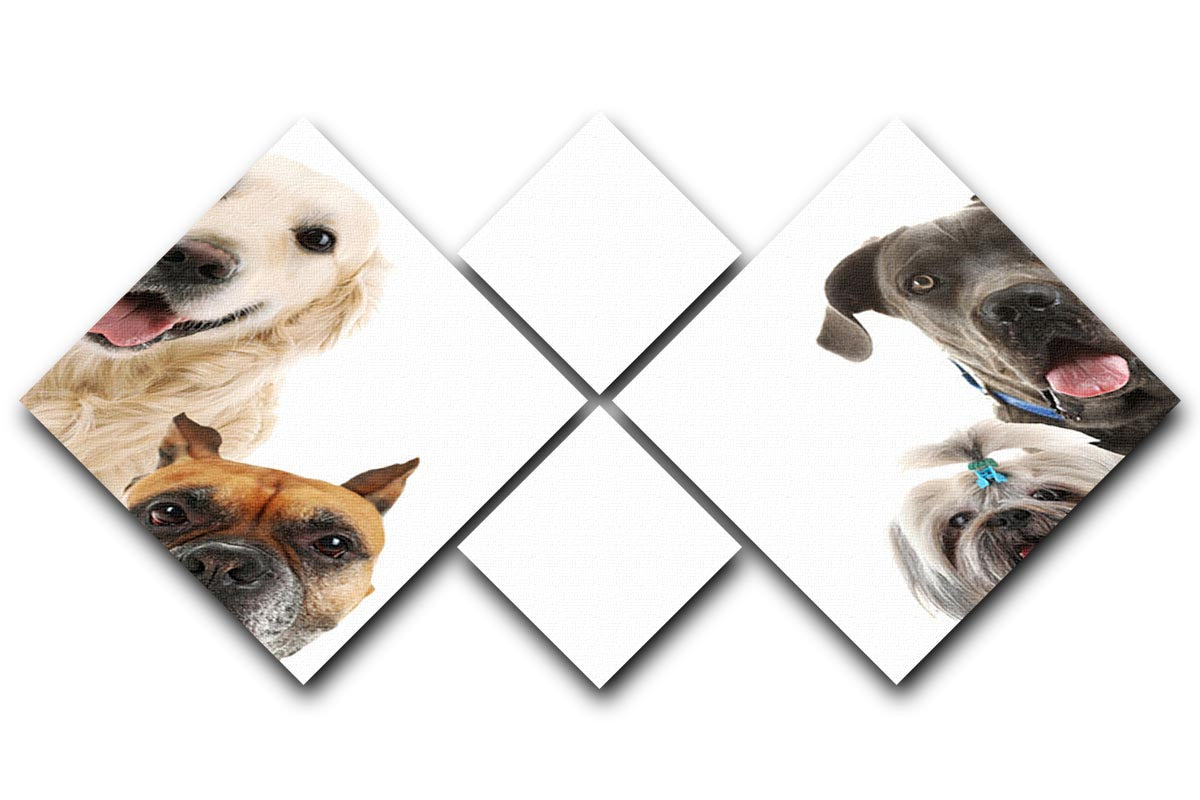 A 4-square multi panel canvas featuring adorable dogs isolated on a white background, showcasing their playful expressions.