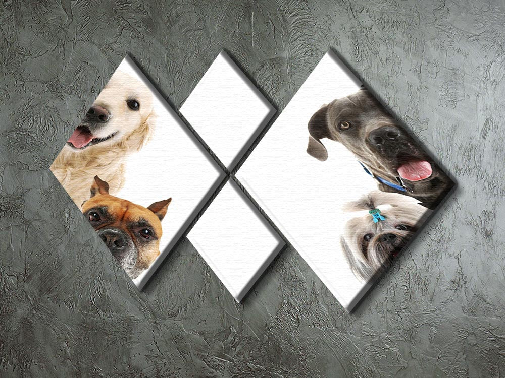 A 4-square multi panel canvas featuring adorable dogs isolated on a white background, showcasing their playful expressions.