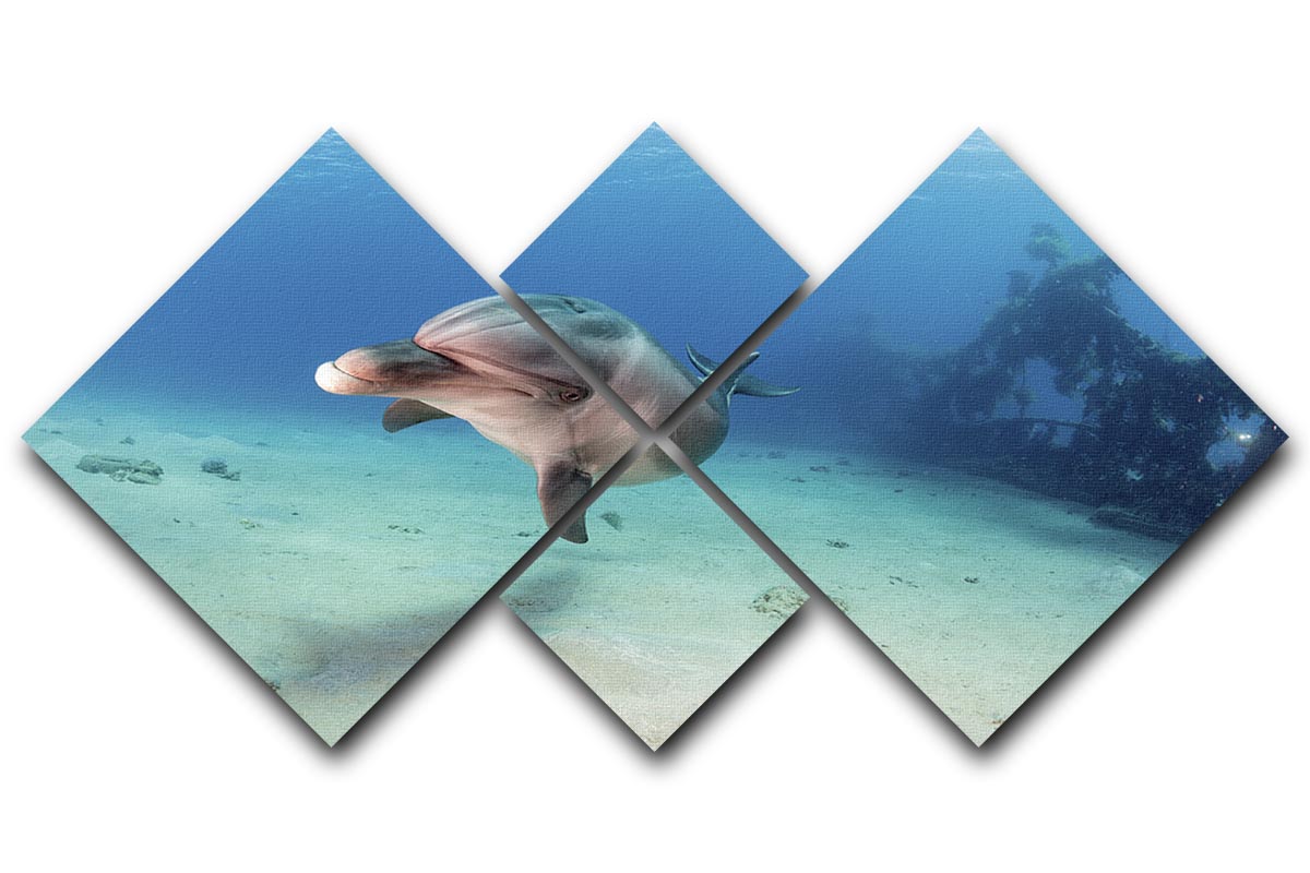 Dolphin 4 Square Multi Panel Canvas artwork featuring four vibrant dolphin panels arranged together.