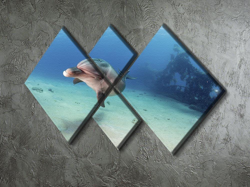 Dolphin 4 Square Multi Panel Canvas artwork featuring four vibrant dolphin panels arranged together.