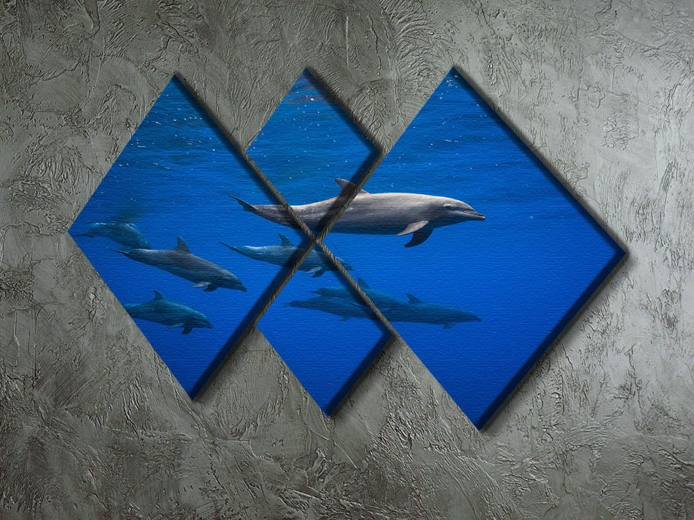 A beautiful multi-panel canvas artwork featuring dolphins in vibrant colors, divided into four equal square sections.