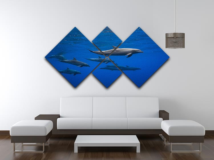 A beautiful multi-panel canvas artwork featuring dolphins in vibrant colors, divided into four equal square sections.