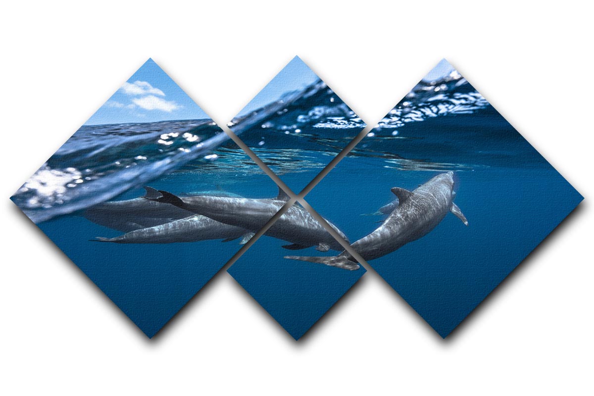 A beautiful multi-panel canvas artwork featuring dolphins in vibrant colors, divided into four equal square sections.