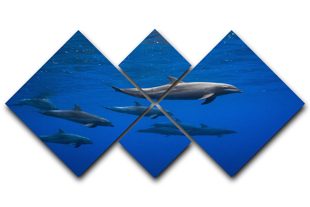 A beautiful multi-panel canvas artwork featuring dolphins in vibrant colors, divided into four equal square sections.