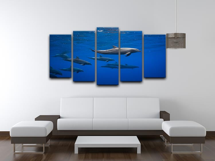 A vibrant 5-split canvas artwork featuring dolphins in a dynamic ocean scene, showcasing their grace and beauty across five panels.
