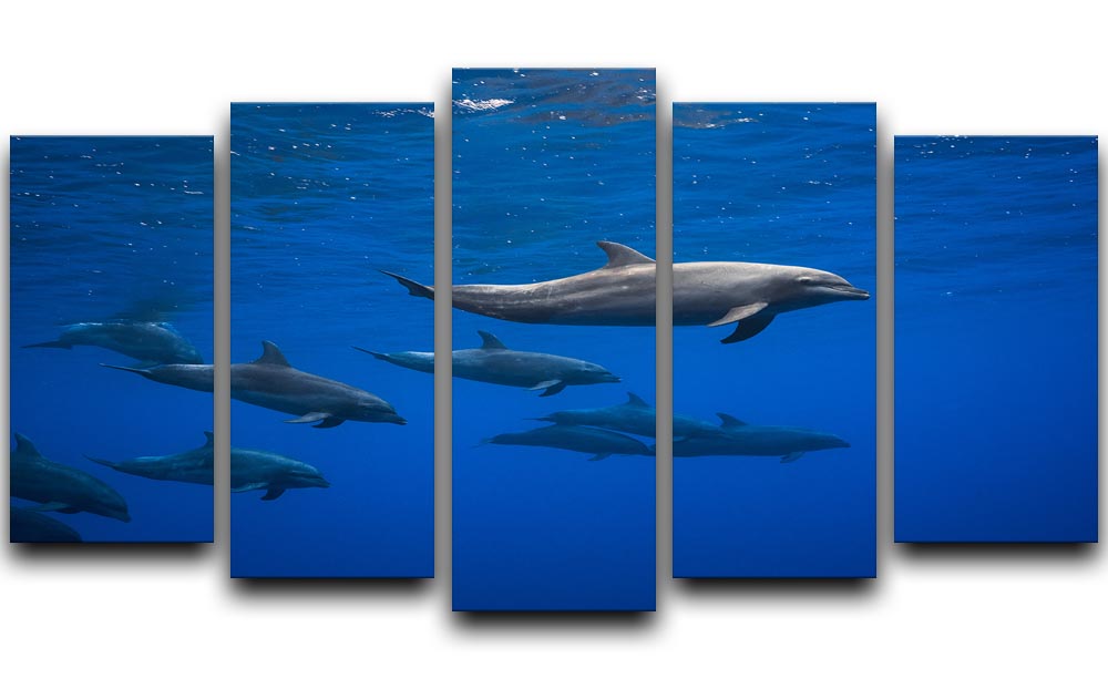 A vibrant 5-split canvas artwork featuring dolphins in a dynamic ocean scene, showcasing their grace and beauty across five panels.