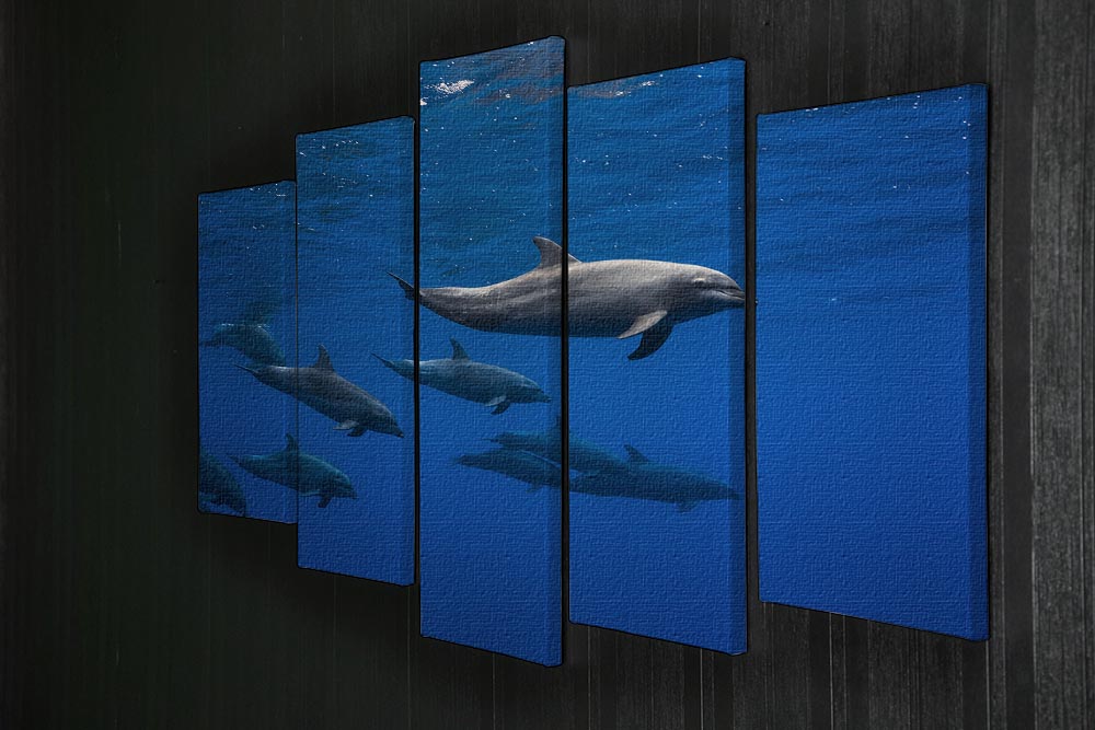 A vibrant 5-split canvas artwork featuring dolphins in a dynamic ocean scene, showcasing their grace and beauty across five panels.