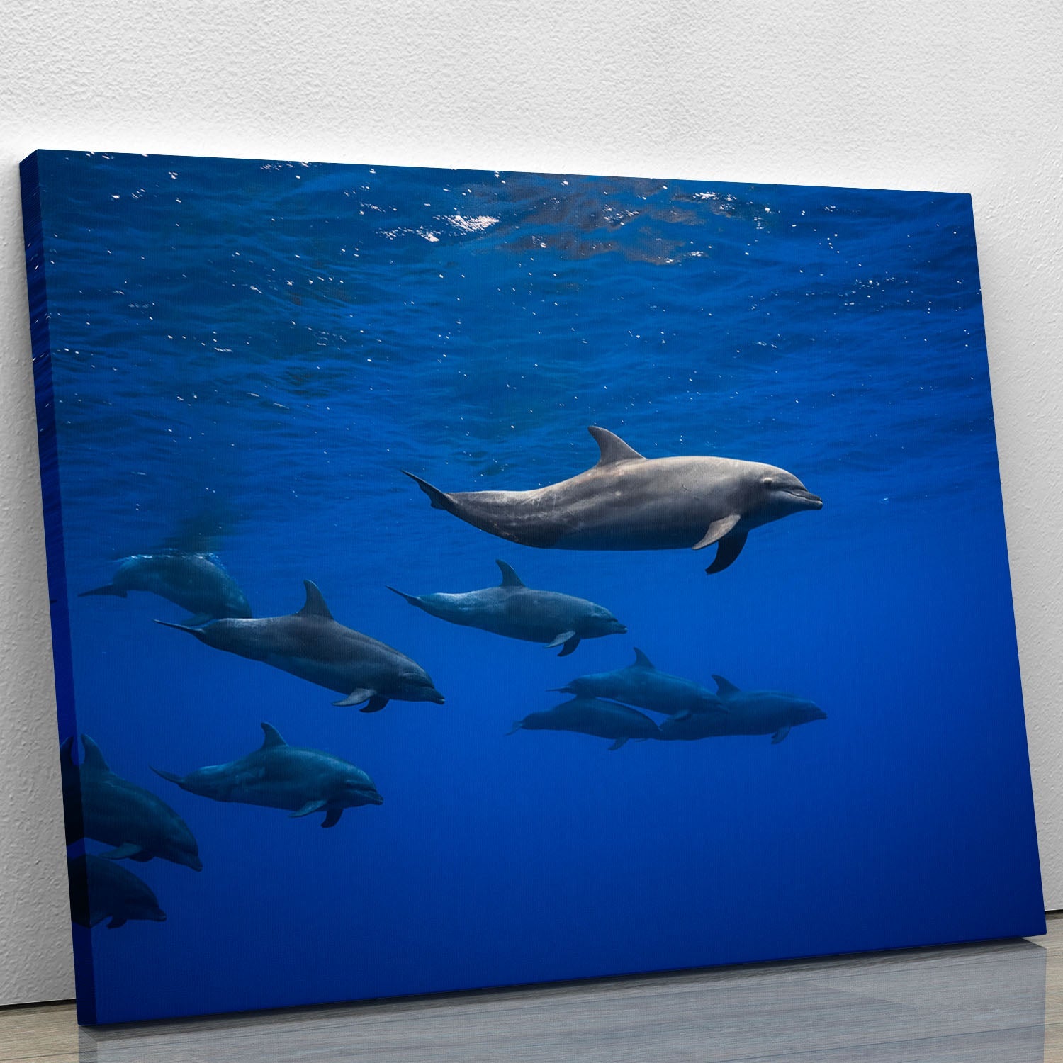 A vibrant canvas print featuring dolphins swimming gracefully in clear blue waters, perfect for home or office decor.