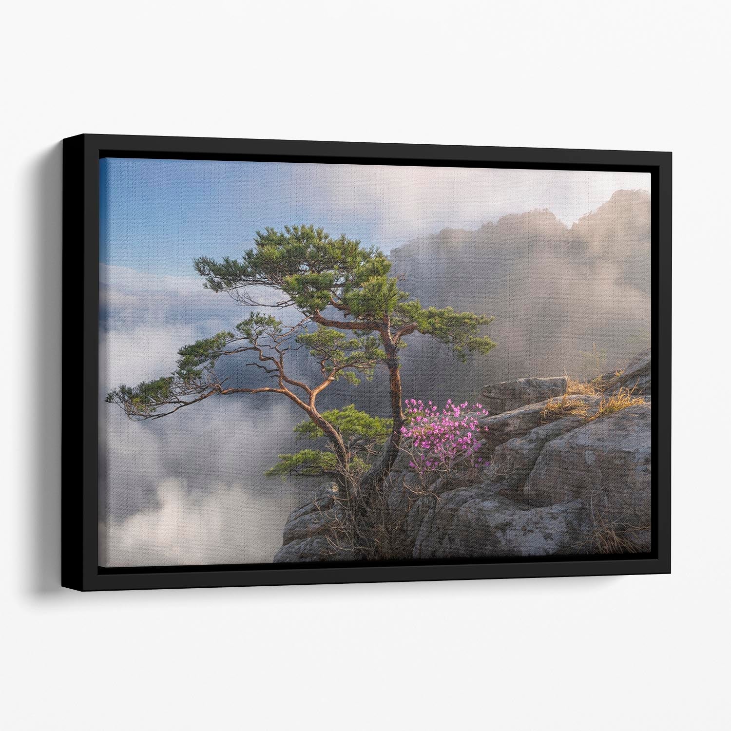 Dream Dancer Floating Framed Canvas featuring vibrant abstract colors in an elegant wooden frame.