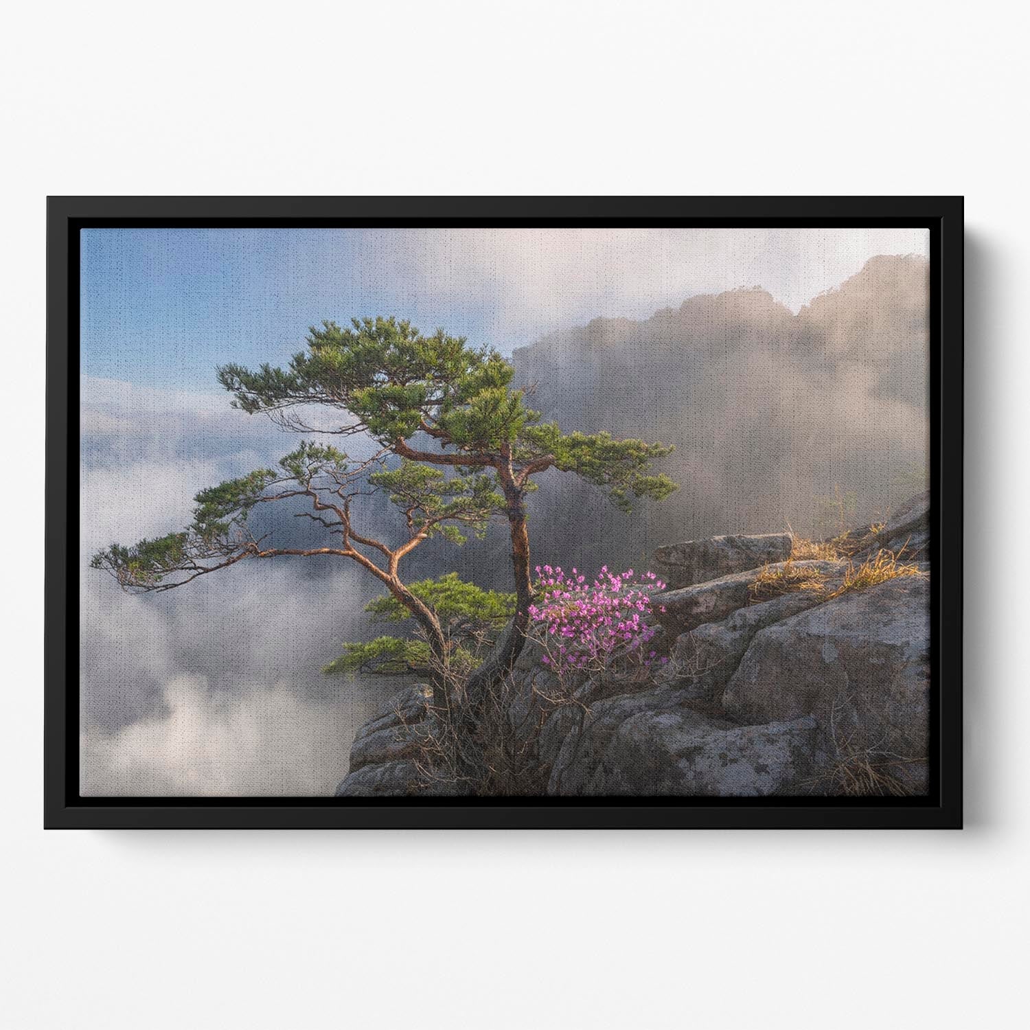 Dream Dancer Floating Framed Canvas featuring vibrant abstract colors in an elegant wooden frame.