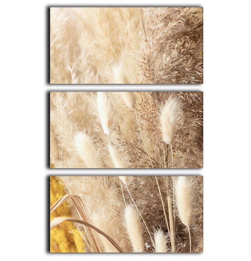 A beautiful Dried Bouquet 3 Split Panel Canvas Print showcasing dried flowers in an elegant arrangement, perfect for home decor.