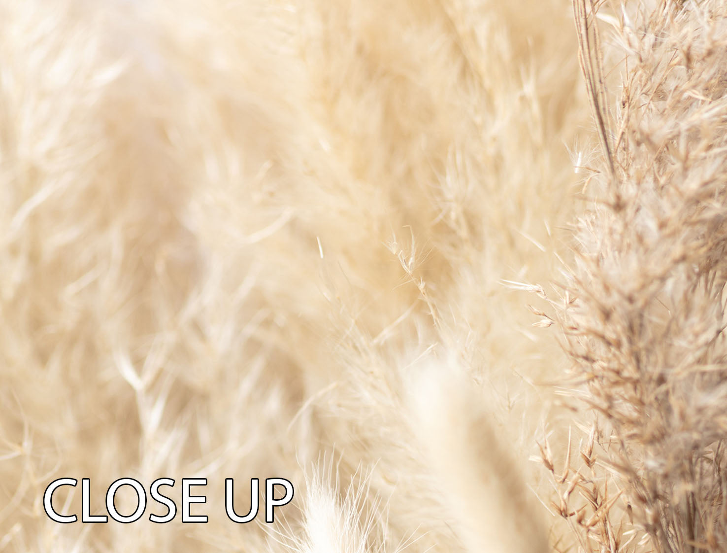 A beautiful Dried Bouquet 3 Split Panel Canvas Print showcasing dried flowers in an elegant arrangement, perfect for home decor.