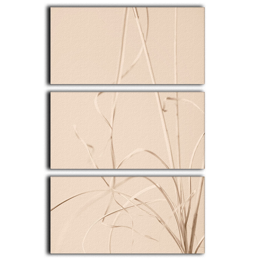 Dried Grass Beige 01 3 Split Panel Canvas Print showcasing earthy tones and elegant design, perfect for home decor.