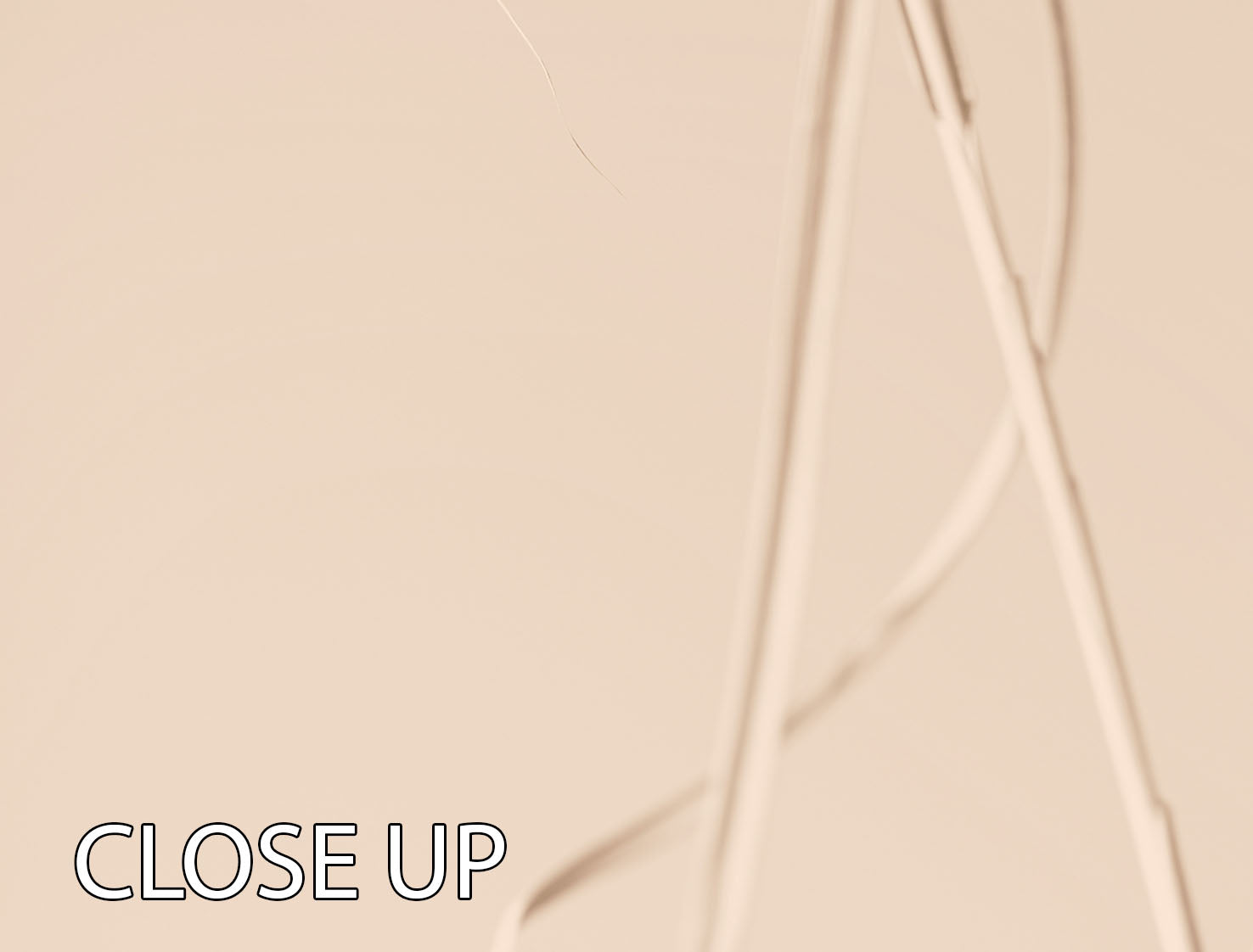 Dried Grass Beige 01 3 Split Panel Canvas Print showcasing earthy tones and elegant design, perfect for home decor.