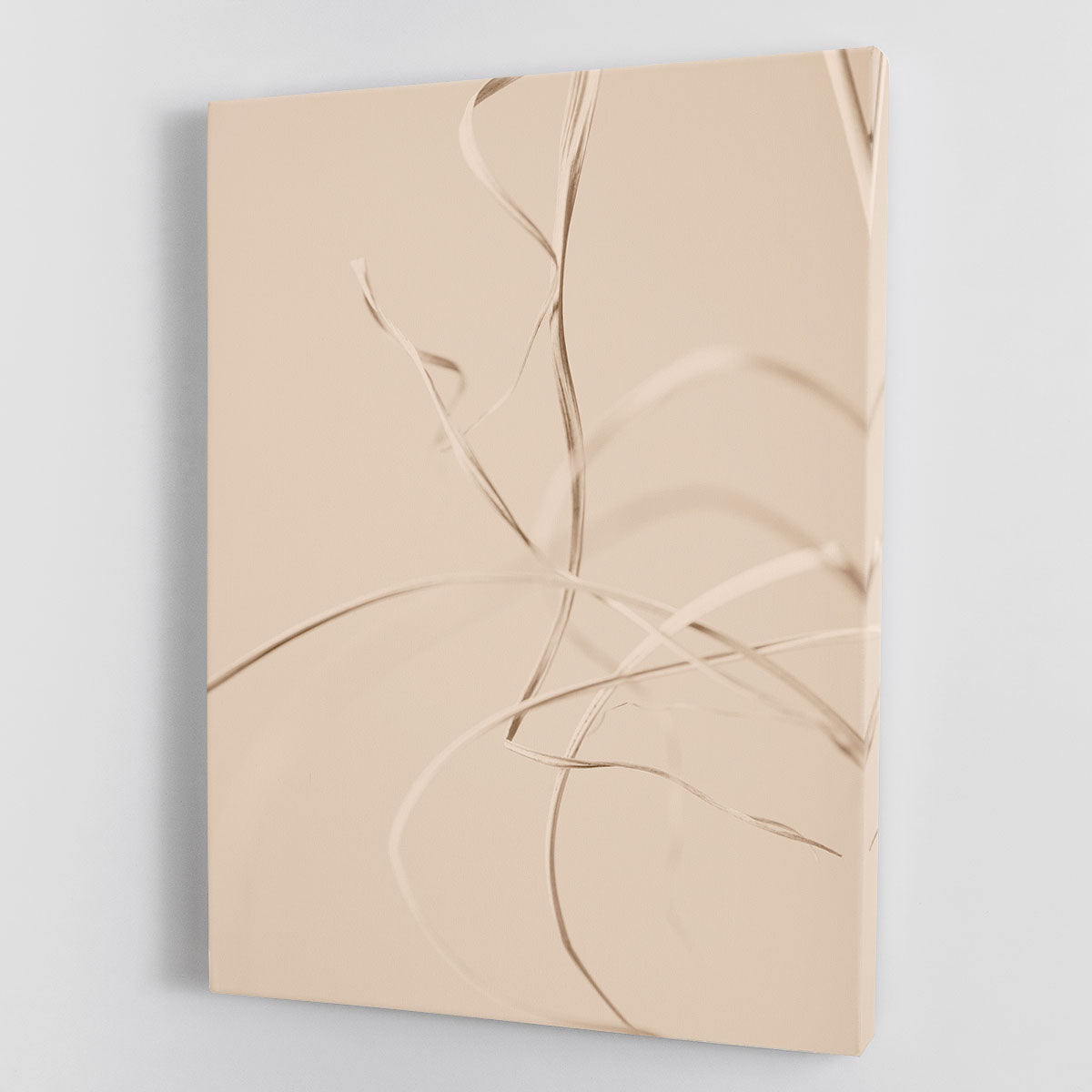 Dried Grass Beige 02 canvas print showcasing elegant dried grass design in soft beige tones, perfect for home decor.