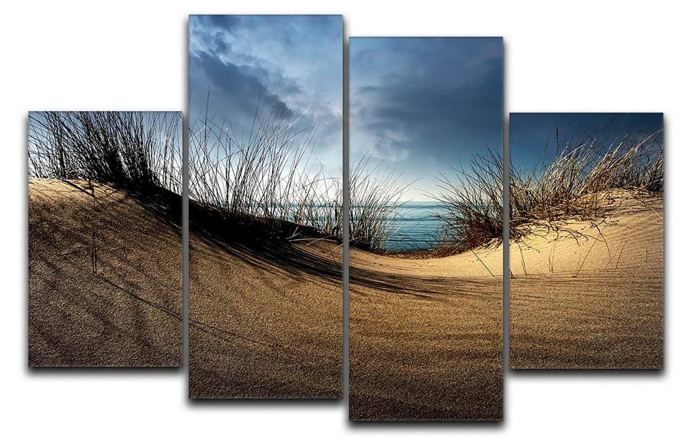 Dunes 4 Split Panel Canvas artwork featuring four equal sections, showcasing a cohesive and vibrant design.