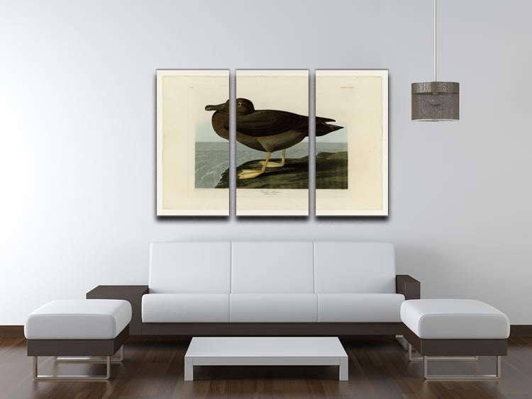 Dusky Albatros 3-panel canvas print featuring elegant bird imagery, perfect for home decor.