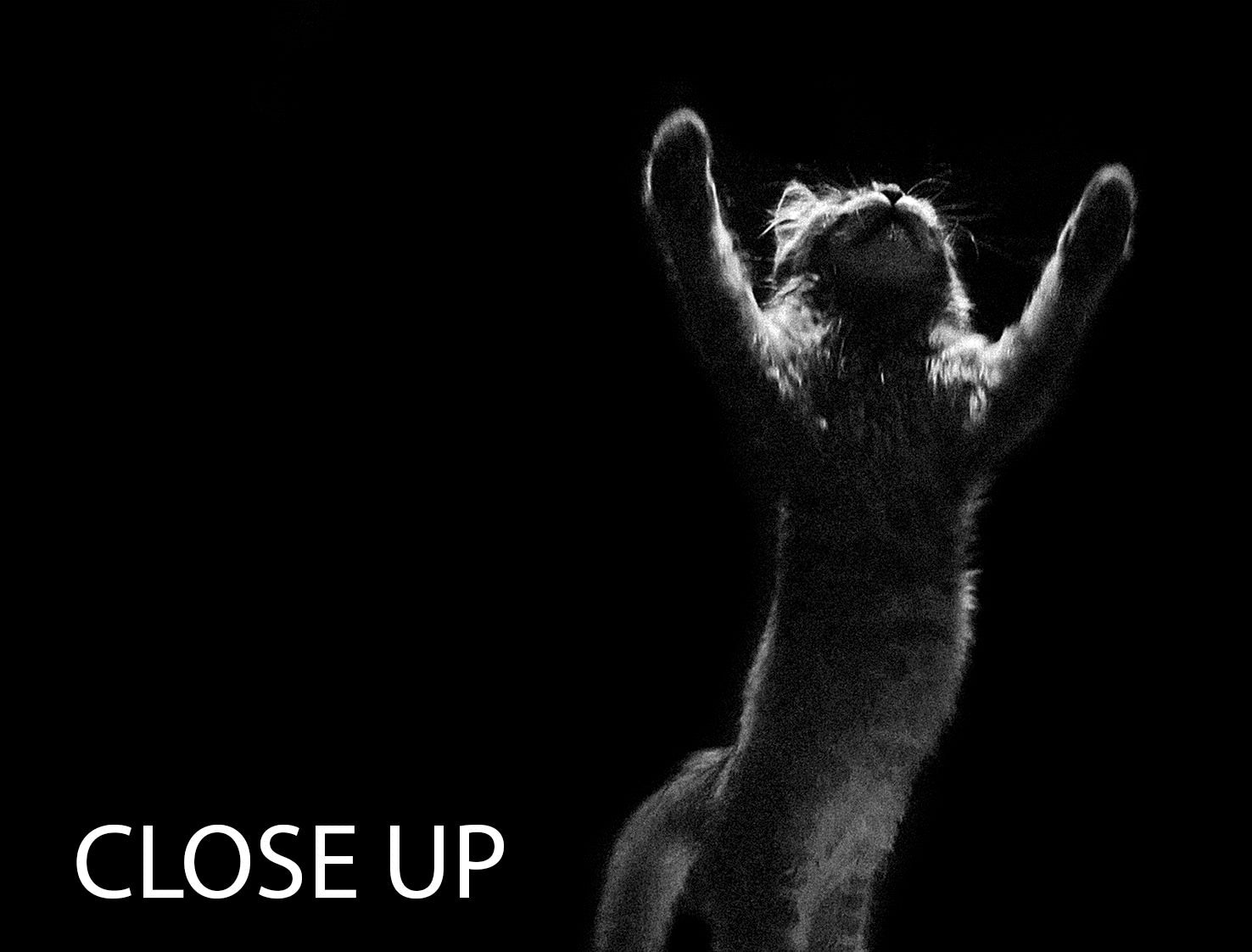 Edgar the Great 3 Split Panel Canvas Print showcasing vibrant colors and elegant design, perfect for home decor.