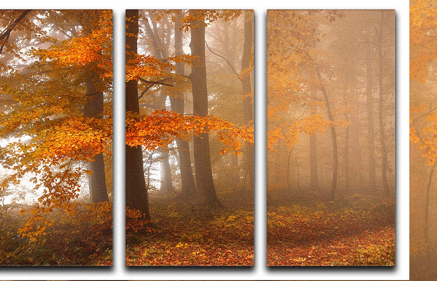 Edge Of The Woods 3 Split Panel Canvas Print showcasing a beautiful nature scene, perfect for home decor.