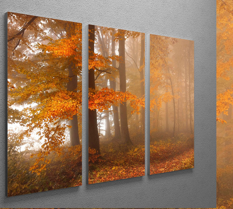 Edge Of The Woods 3 Split Panel Canvas Print showcasing a beautiful nature scene, perfect for home decor.