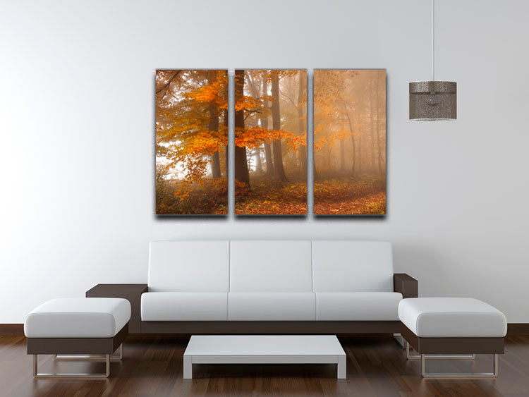Edge Of The Woods 3 Split Panel Canvas Print showcasing a beautiful nature scene, perfect for home decor.