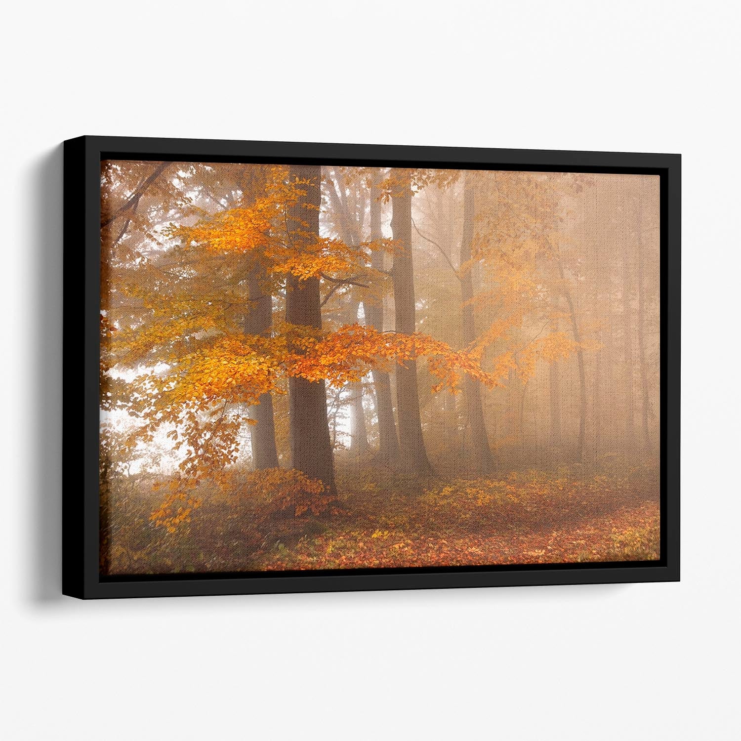 Edge Of The Woods Floating Framed Canvas featuring vibrant abstract design in a handcrafted wooden frame, perfect for modern home decor.