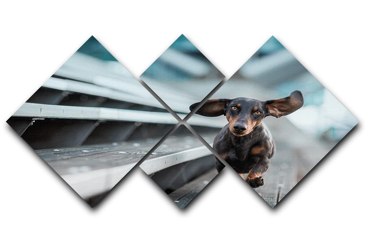 A 4-square canvas artwork featuring a small dog exploring the world, divided into four panels for a striking visual effect.