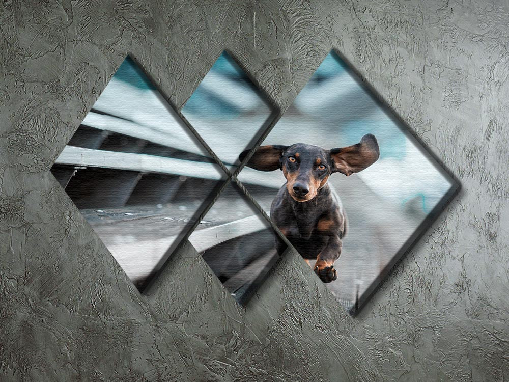 A 4-square canvas artwork featuring a small dog exploring the world, divided into four panels for a striking visual effect.
