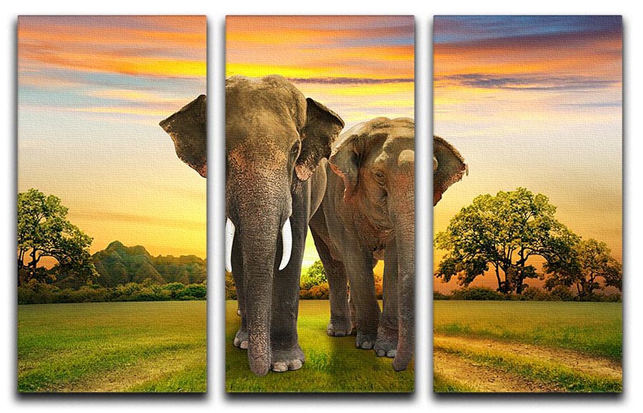 Three-panel canvas print featuring an elephant family against a vibrant sunset, showcasing nature's beauty.