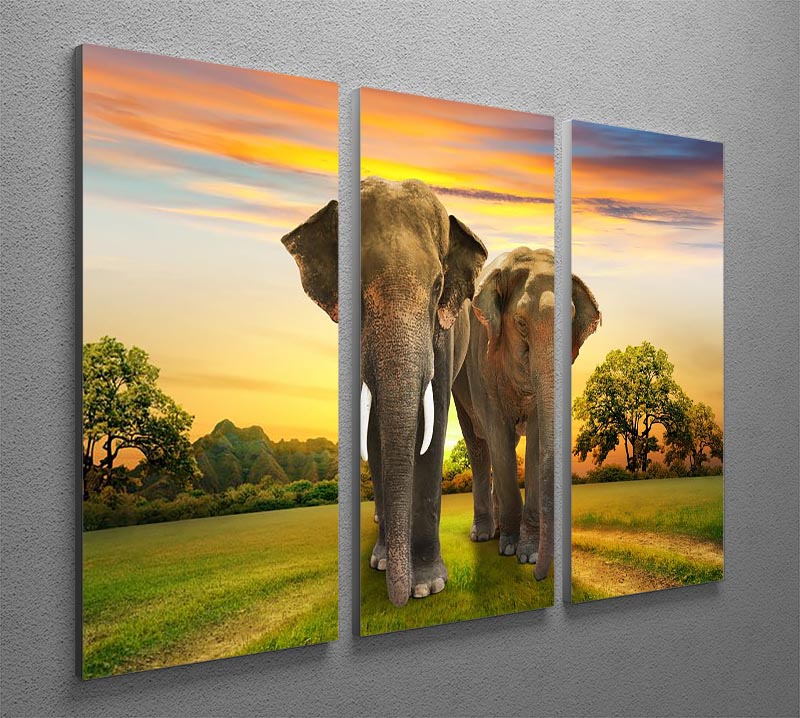 Three-panel canvas print featuring an elephant family against a vibrant sunset, showcasing nature's beauty.