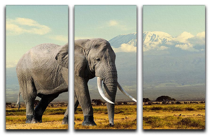 A stunning 3-panel canvas print featuring an elephant on Kilimanjaro mountain, showcasing vibrant colors and intricate details.