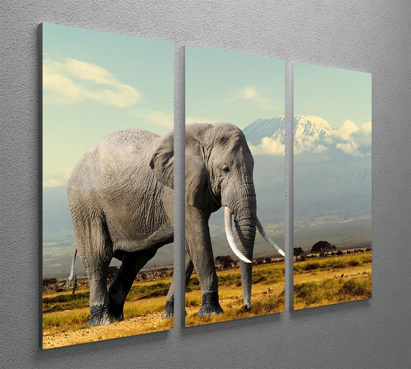 A stunning 3-panel canvas print featuring an elephant on Kilimanjaro mountain, showcasing vibrant colors and intricate details.