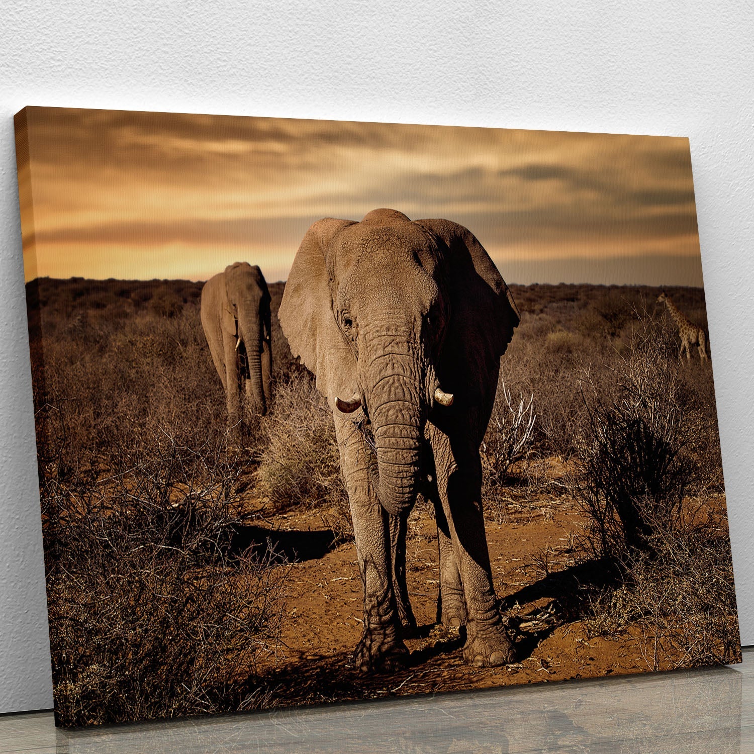 A beautiful canvas print featuring an elephant posing majestically, showcasing intricate details and vibrant colors.