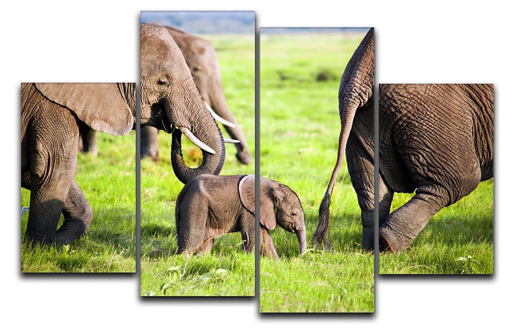 A beautiful 4-split canvas artwork depicting a family of elephants on the African savanna, showcasing their natural habitat.