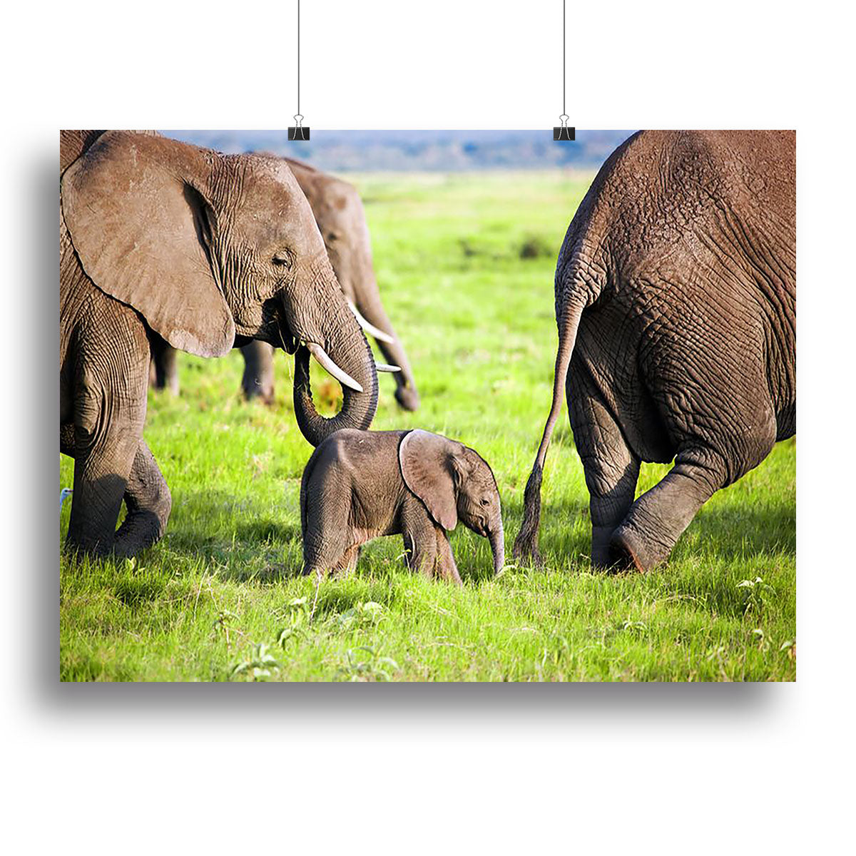 Canvas print featuring a family of elephants on the African savanna, showcasing their natural habitat with vibrant colors and intricate details.