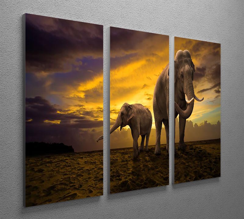 A beautiful 3-panel canvas print depicting an elephant family at sunset, showcasing vibrant colors and serene imagery.