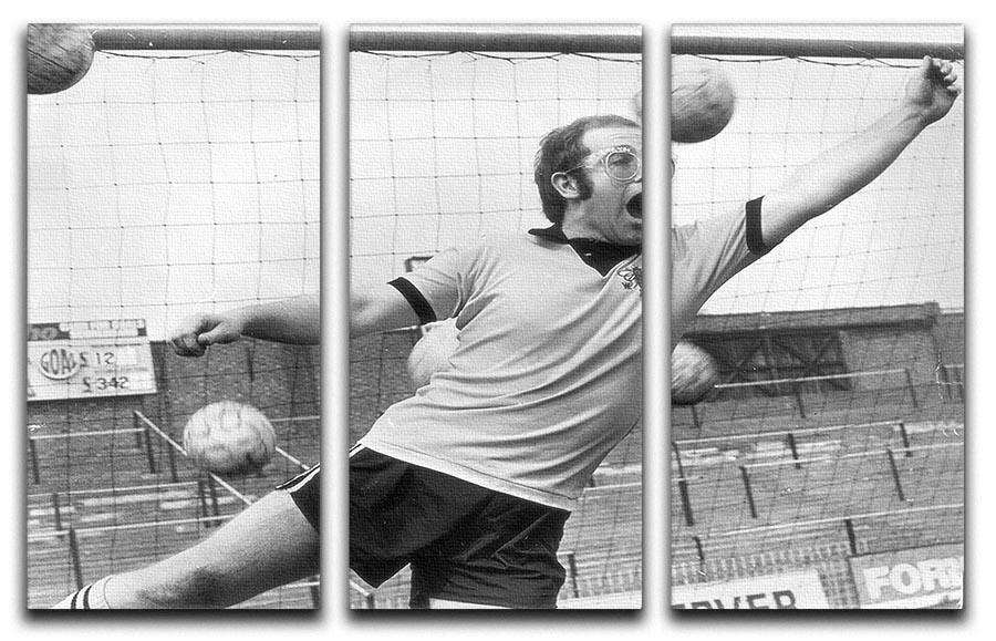 Elton John in Goal 3 Split Panel Canvas Print featuring vibrant colors and detailed artwork, perfect for home decor.
