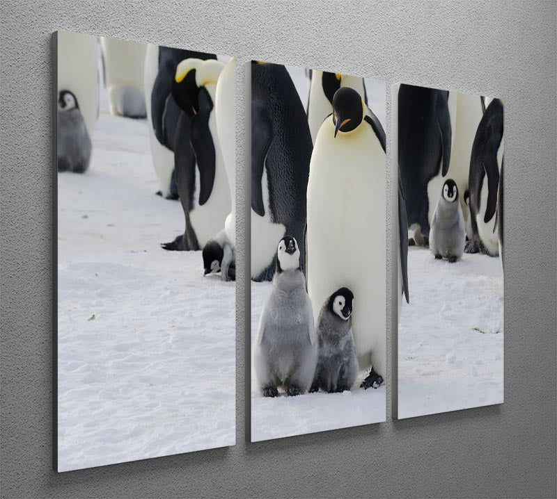 Three-panel canvas print featuring an Emperor penguin parent with its chicks, showcasing vibrant colors and intricate details.