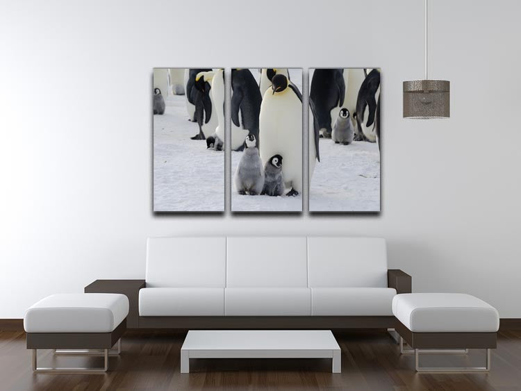Three-panel canvas print featuring an Emperor penguin parent with its chicks, showcasing vibrant colors and intricate details.
