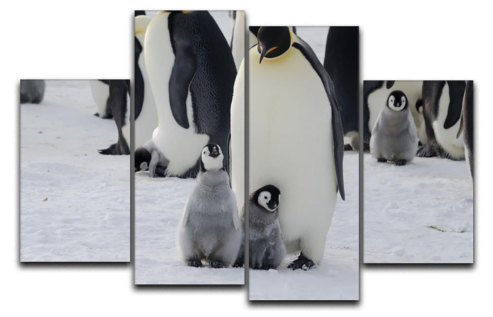A beautiful 4-split canvas artwork featuring an Emperor penguin parent with its chicks, showcasing a heartwarming family scene.
