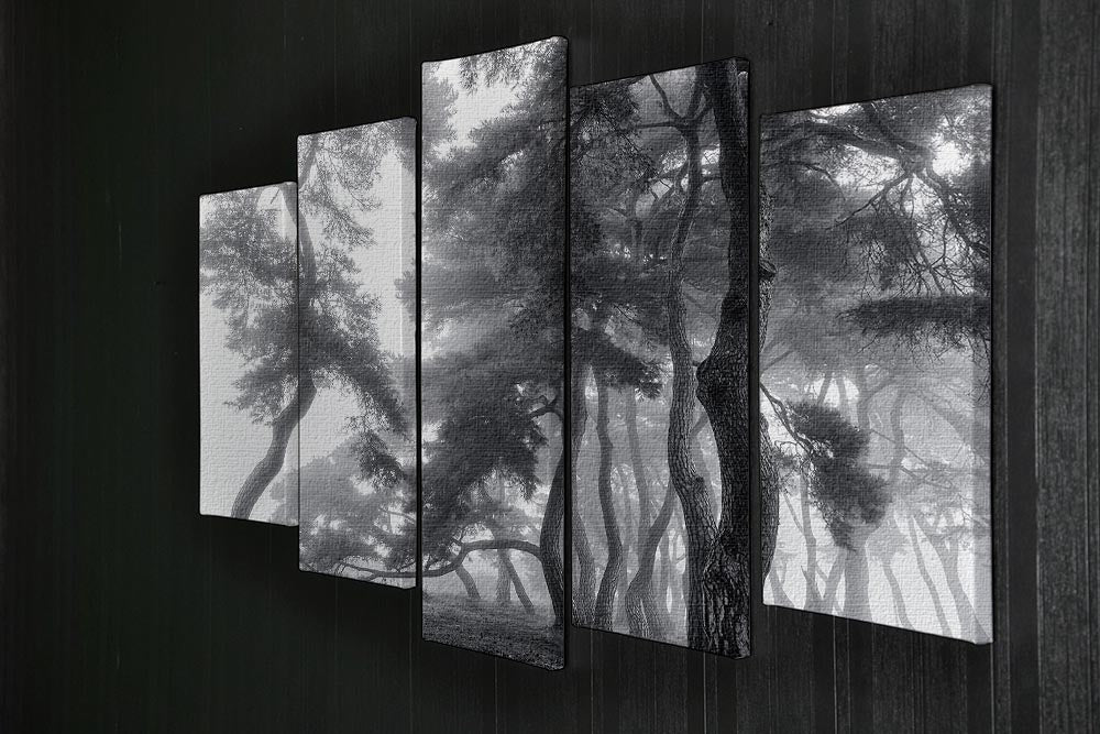 Endure For A Hundred Years 5 Split Panel Canvas artwork featuring five panels that create a cohesive and dynamic design.
