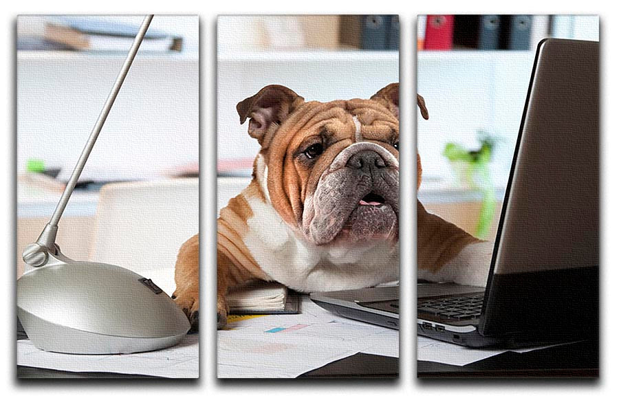 A charming English Bulldog sitting at a desk, depicted in a stunning 3-panel canvas print, perfect for home decor.