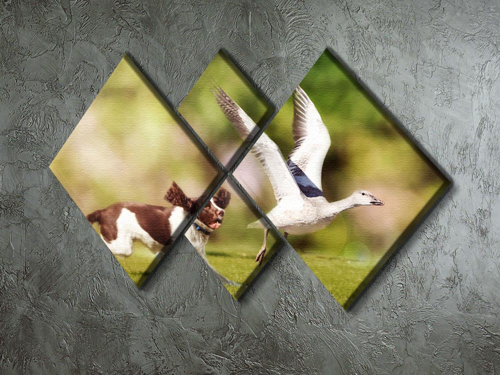 A vibrant 4-square canvas artwork depicting an English Springer Spaniel chasing a large Snow Goose, showcasing dynamic movement and natural beauty.